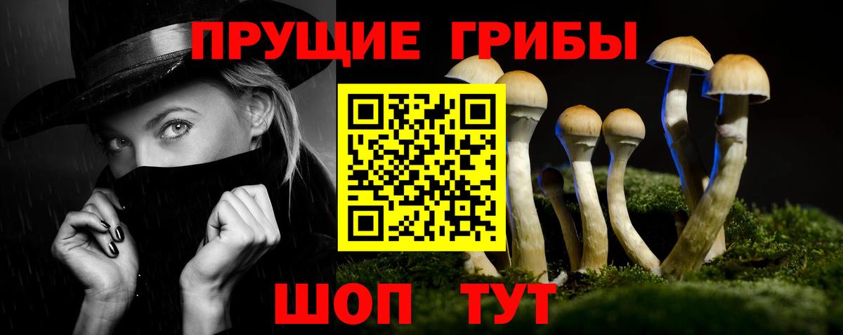 Галлюциногенные грибы Magic Shrooms  Вход с VPN  Добрянка 